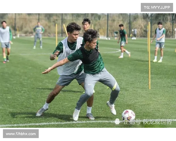 提升小麦国家队实力的三大战术策略与训练方法